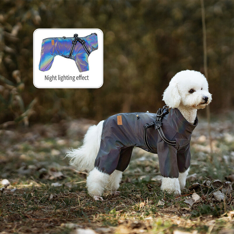 Pet rain jacket
