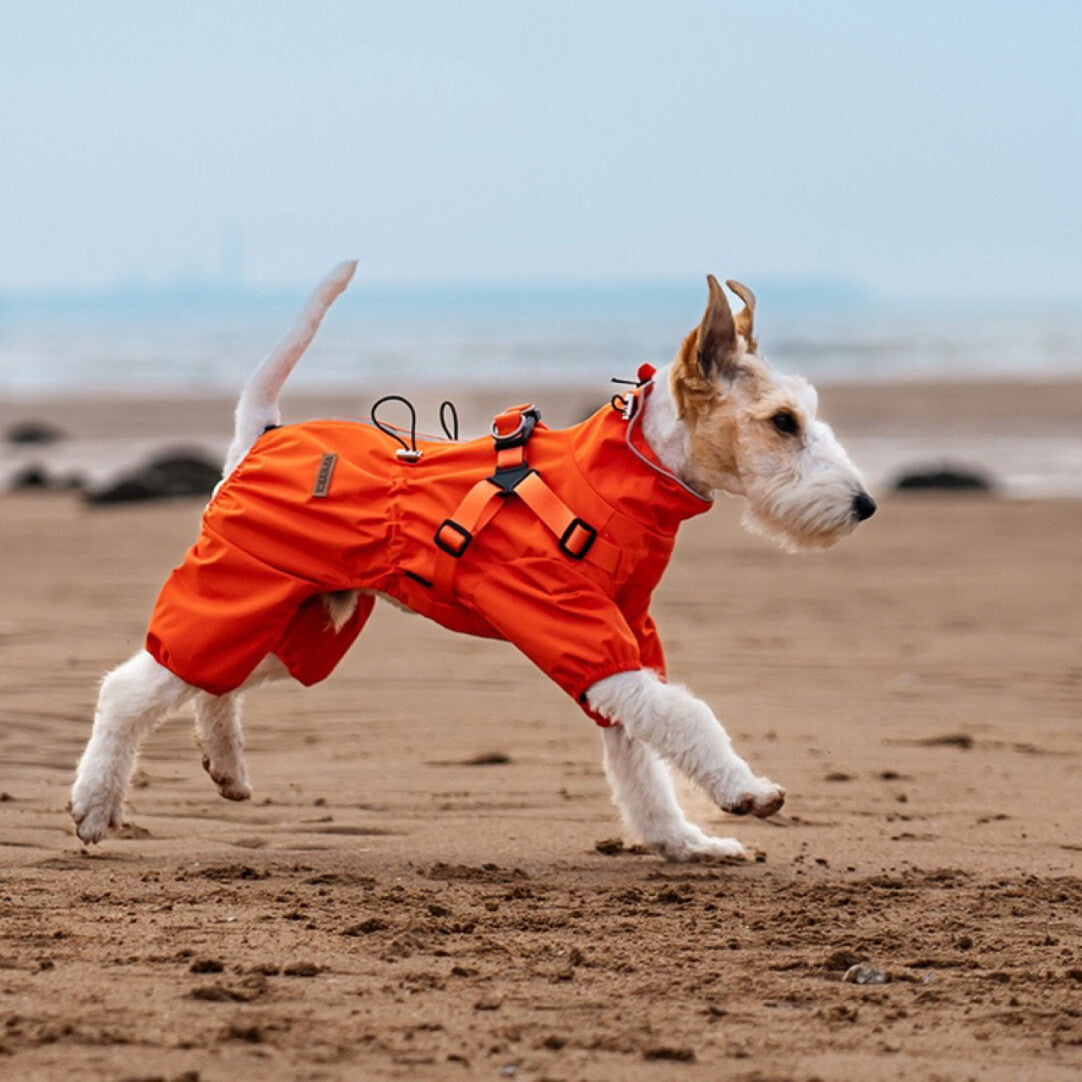 Pet rain jacket