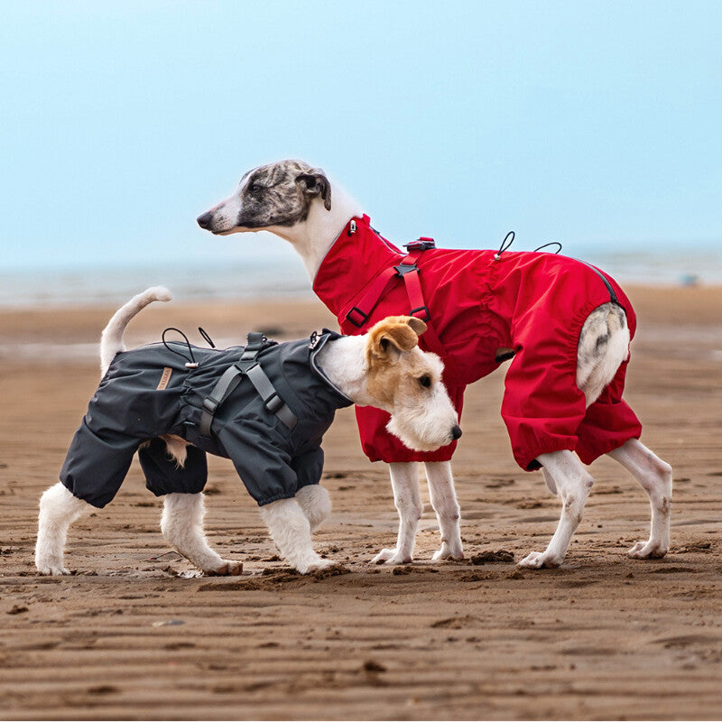 Pet rain jacket