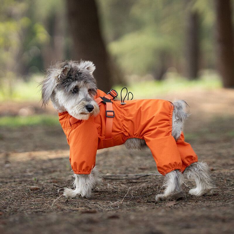Pet rain jacket