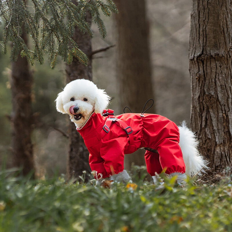 Pet rain jacket