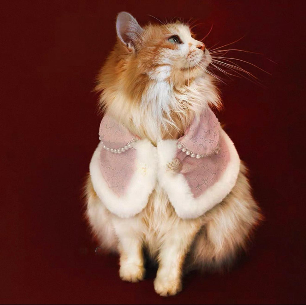 Cloak, shawl, pet cat and dog clothes