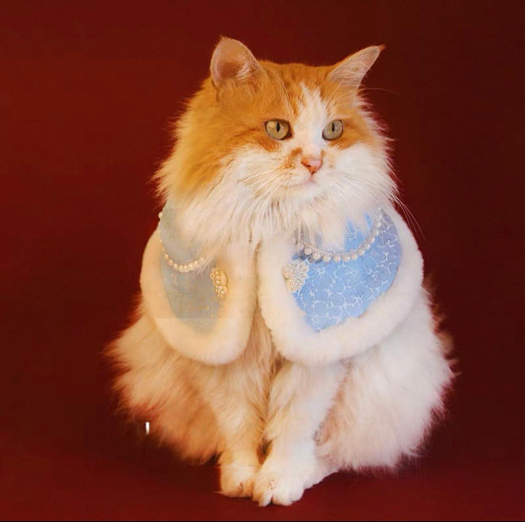 Cloak, shawl, pet cat and dog clothes